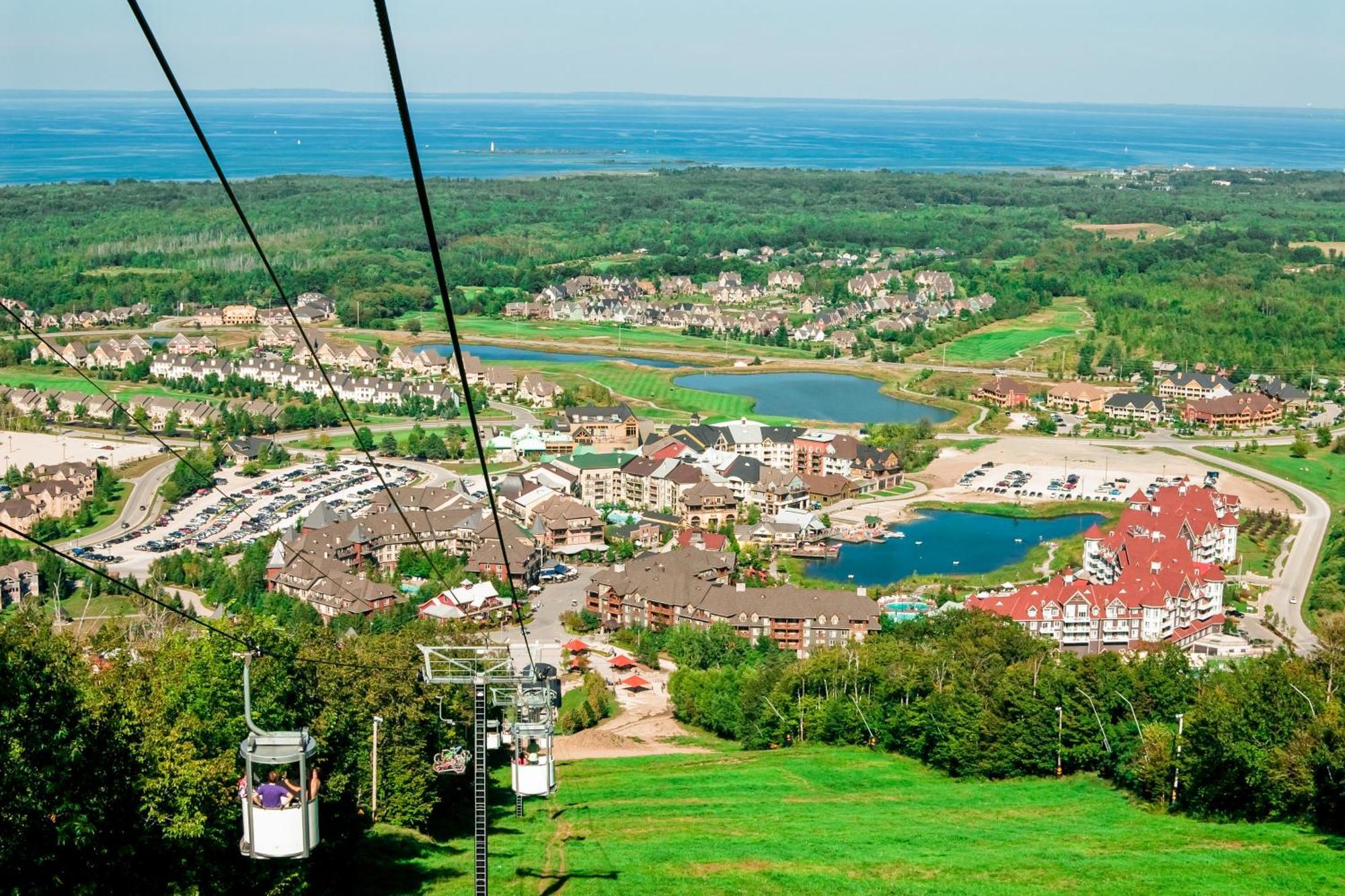 Wintergreen 218 Blue Mountains Bagian luar foto