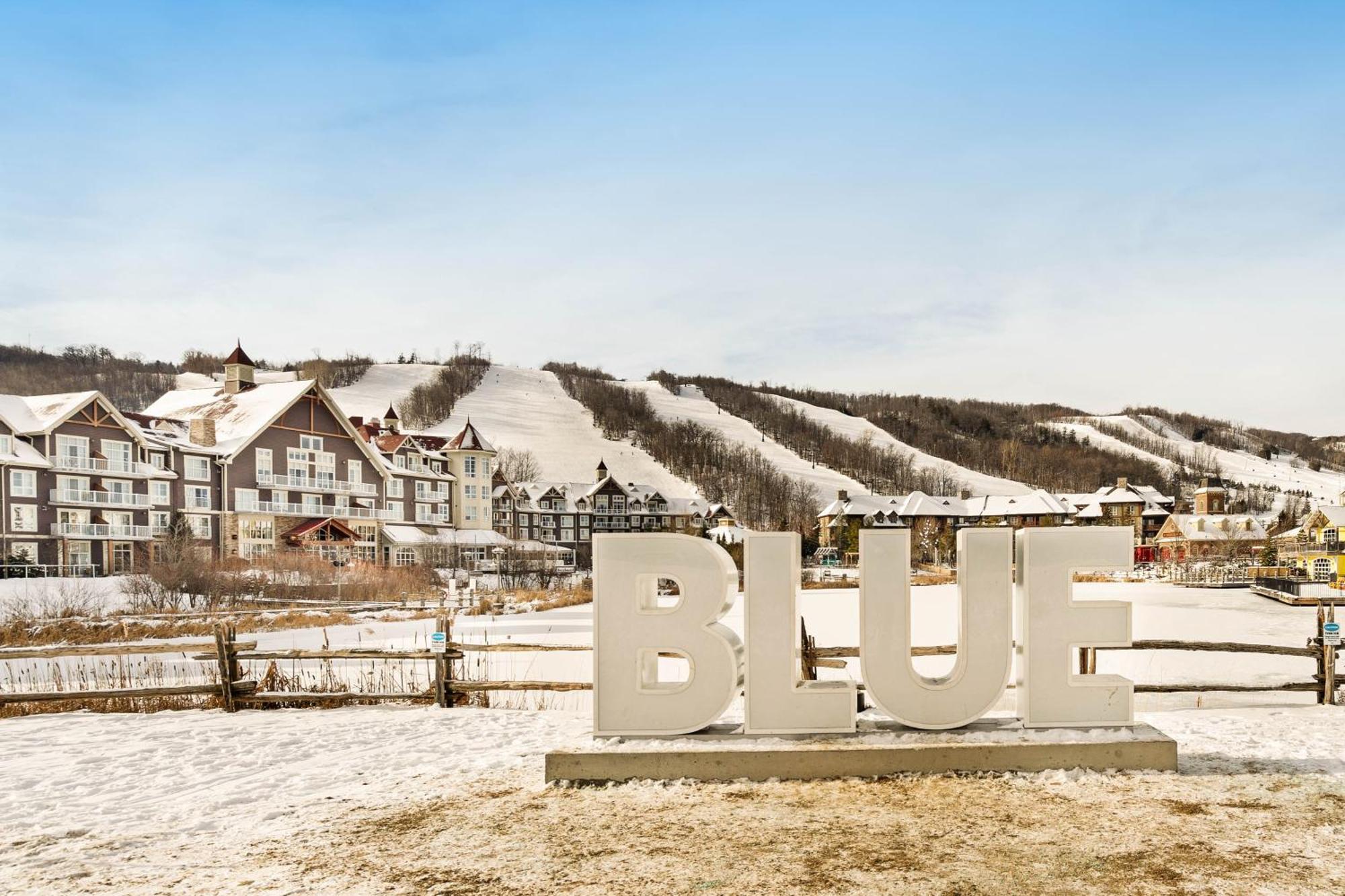 Wintergreen 218 Blue Mountains Bagian luar foto