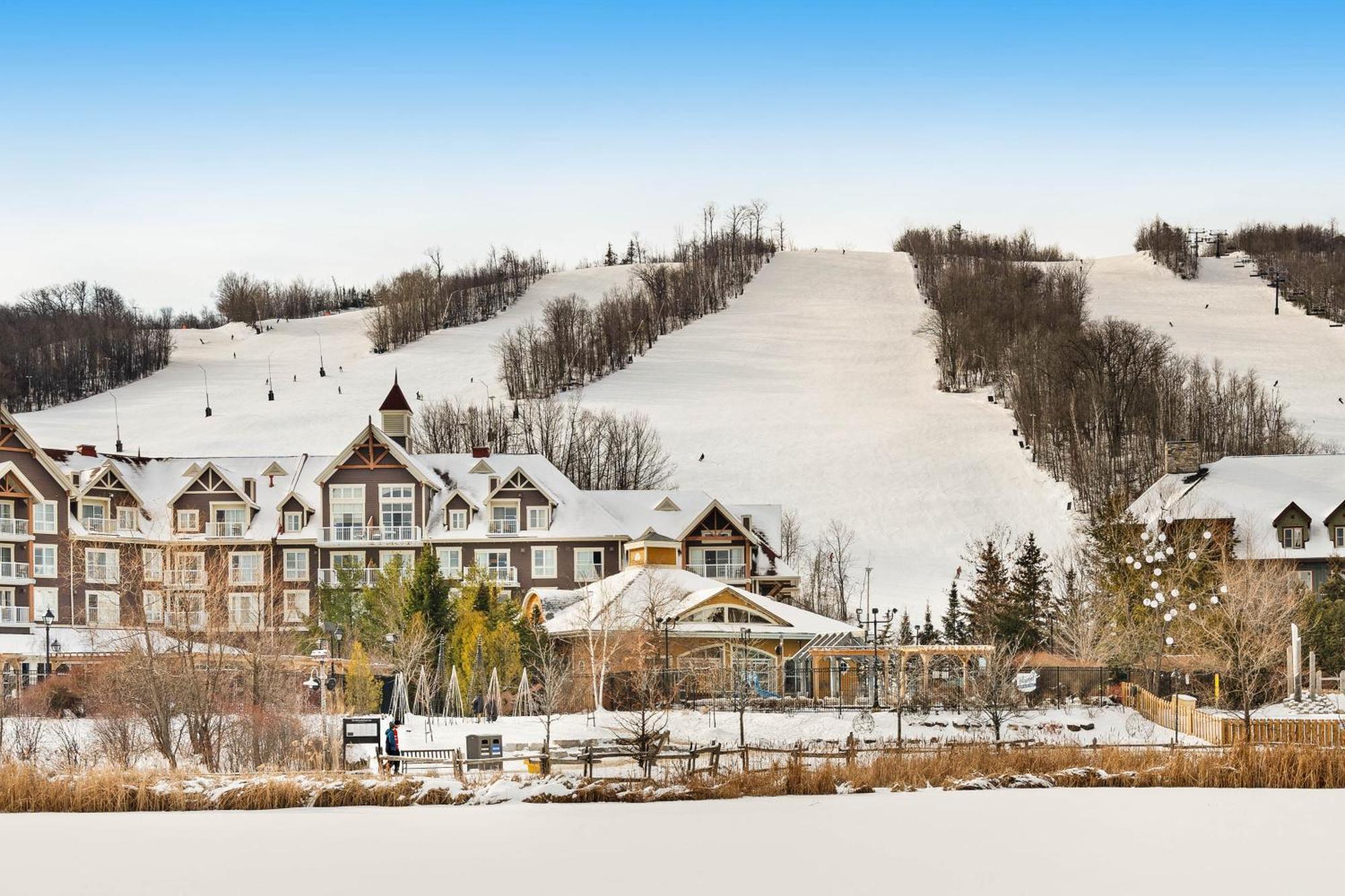 Wintergreen 218 Blue Mountains Bagian luar foto