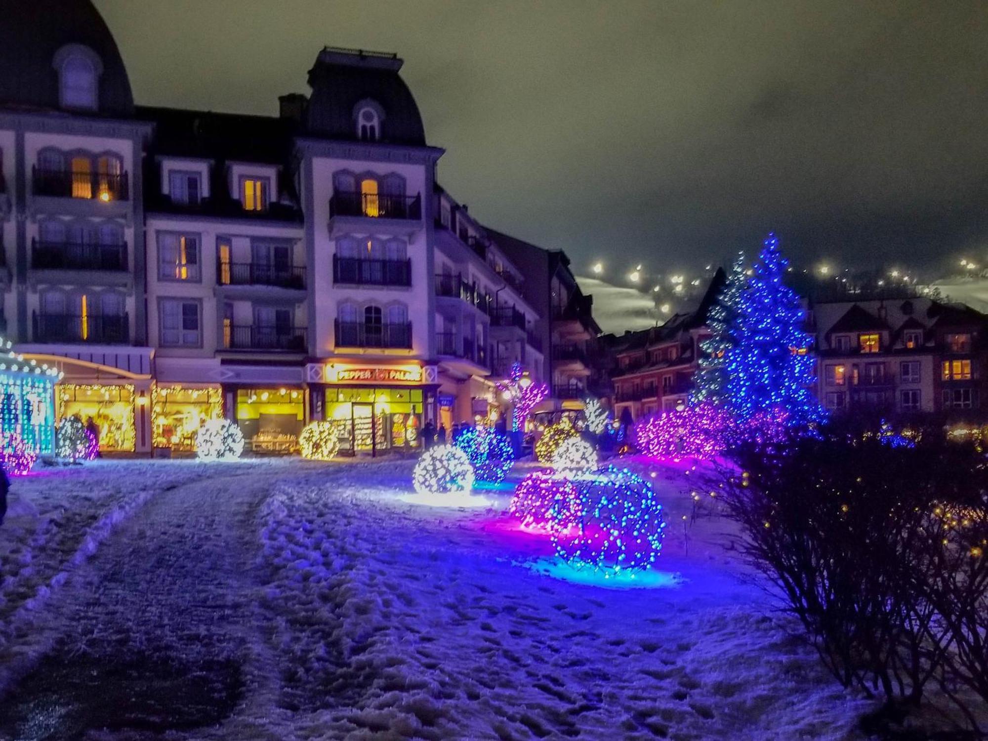 Wintergreen 218 Blue Mountains Bagian luar foto